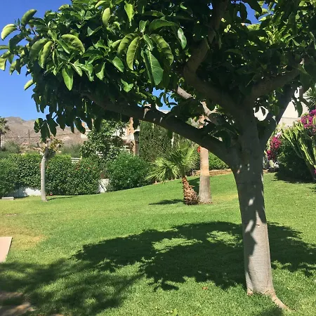 Stunning Location! 15m To *